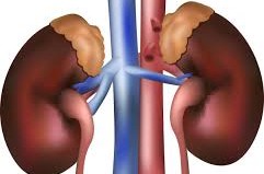 Kidney Disease