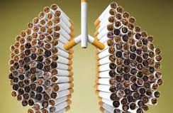 Cigarettes Fiction vs. Facts