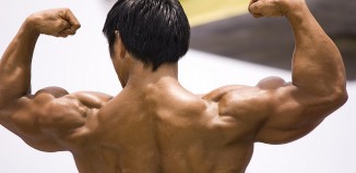 Back Blasting Workouts