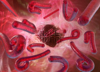 Ebola viruses