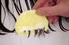 Best Natural Ways Of Getting Rid of Head Lice head lice