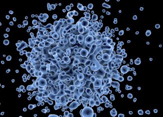 Cell Aging Genes Identified; Holds Potential For Cancer Treatment