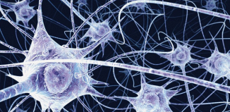 Chemical imbalance in the brain may lead to schizophrenia, study reveals