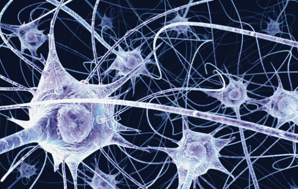 Chemical imbalance in the brain may lead to schizophrenia, study reveals