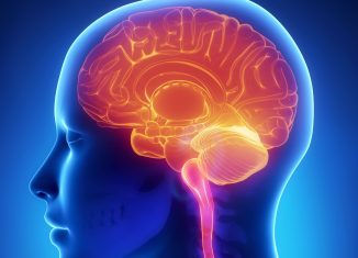New Gene Regulation Essential for Proper Brain Functioning