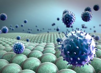 Localized immunotherapy a promising treatment for bladder cancer