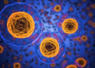 PCEM An Effective Technique For Understanding Cell Interactions