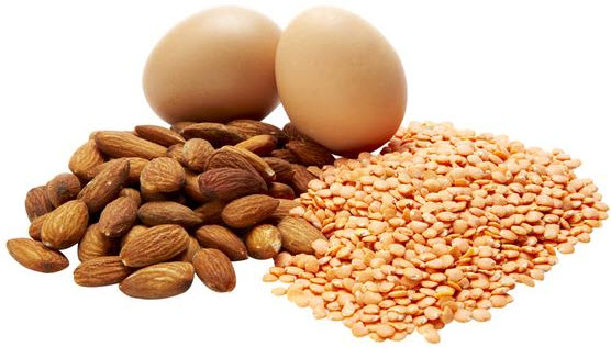 Diets High in Proteins Can Stop Gut Inflammation