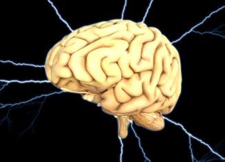 The Female Brain is More Active: Study Shows