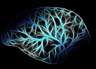First evidence of the body’s waste system in the human brain discovered body's waste system