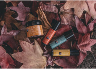 different cbd products