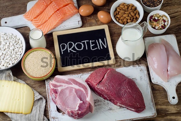 eating too much protein