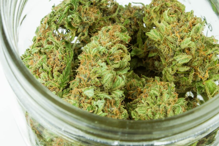 medical marijuana